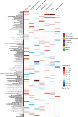 Metabolic clues to aging: exploring the role of circulating metabolites in frailty, sarcopenia and vascular aging related traits and diseases